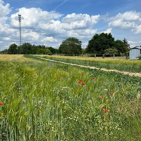 Zum Dubener Kuckuck Luckau