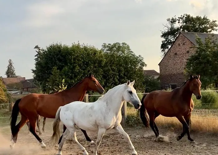 Lägenhet Zum Dubener Kuckuck *