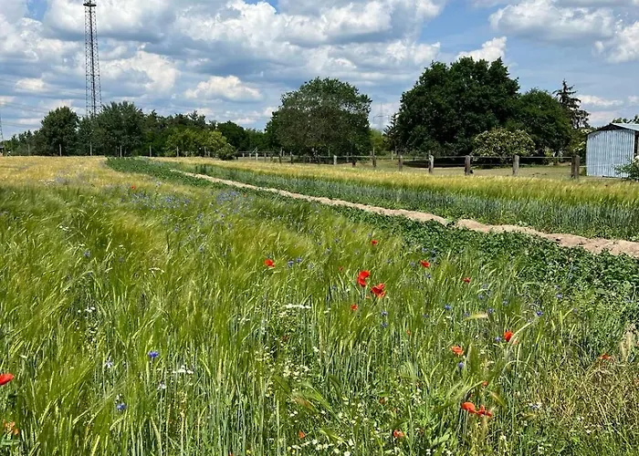 Zum Dubener Kuckuck Luckau