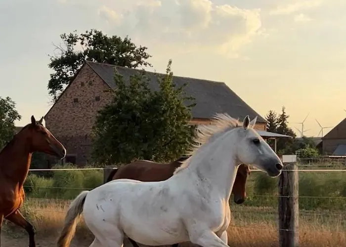 Lägenhet Zum Dubener Kuckuck *